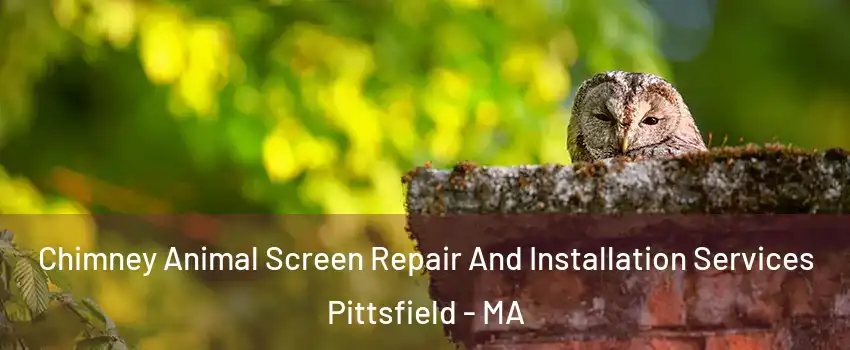  Chimney Animal Screen Repair And Installation Services Pittsfield - MA