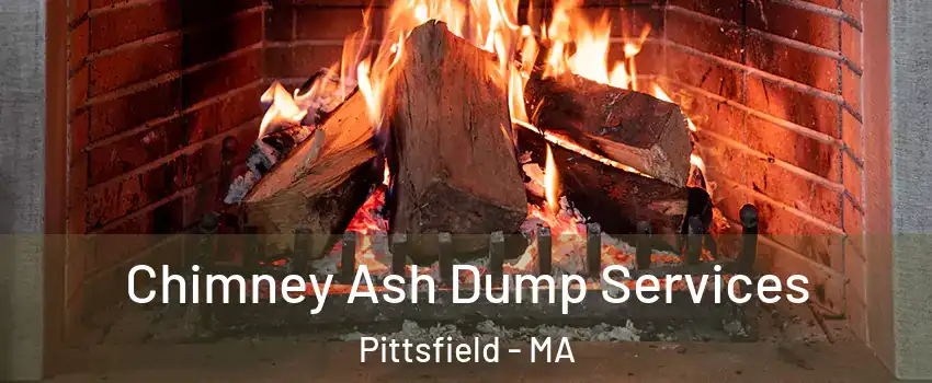  Chimney Ash Dump Services Pittsfield - MA