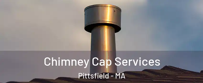  Chimney Cap Services Pittsfield - MA
