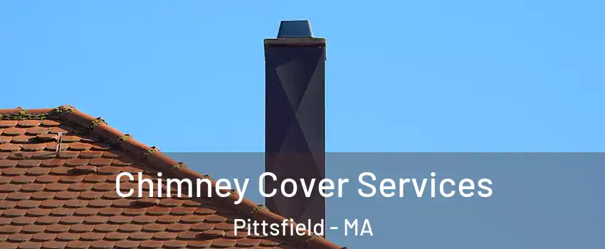  Chimney Cover Services Pittsfield - MA