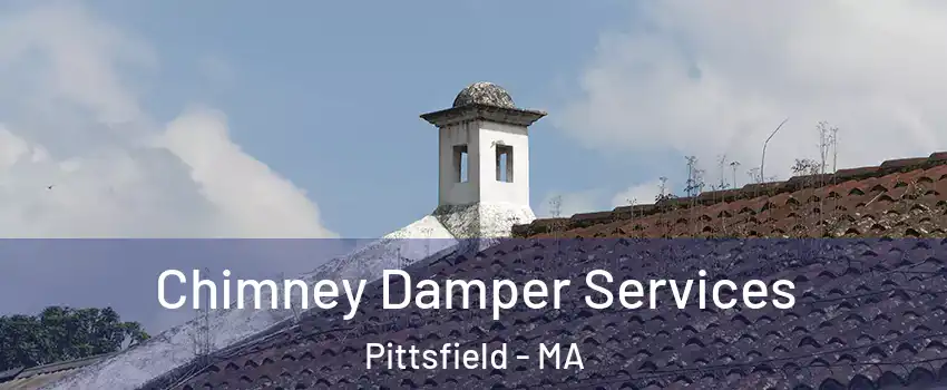  Chimney Damper Services Pittsfield - MA