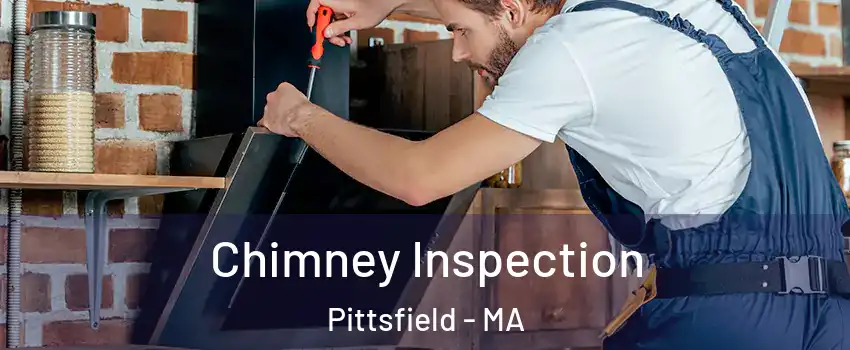  Chimney Inspection Pittsfield - MA