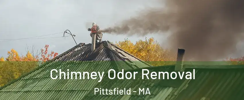  Chimney Odor Removal Pittsfield - MA