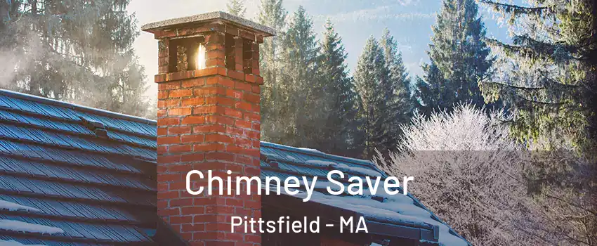  Chimney Saver Pittsfield - MA