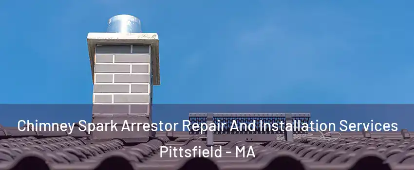  Chimney Spark Arrestor Repair And Installation Services Pittsfield - MA