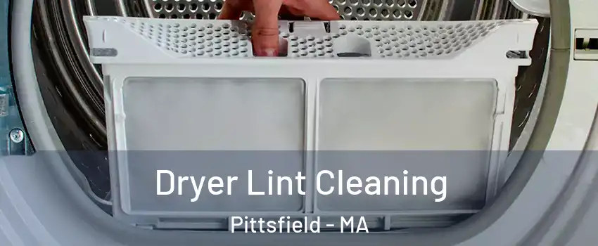  Dryer Lint Cleaning Pittsfield - MA