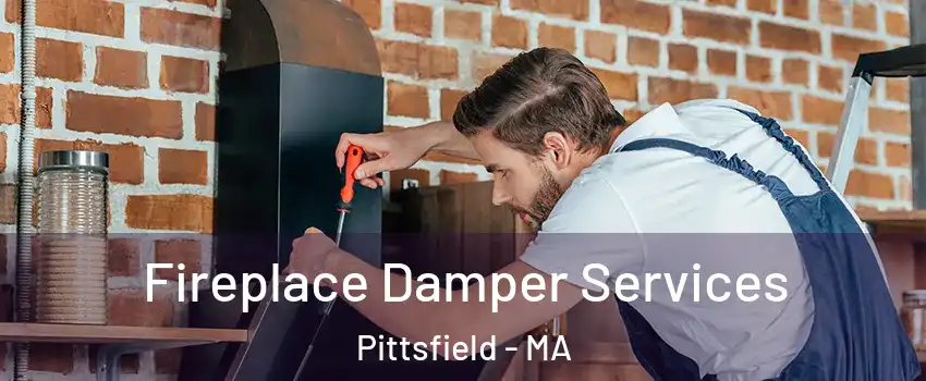  Fireplace Damper Services Pittsfield - MA