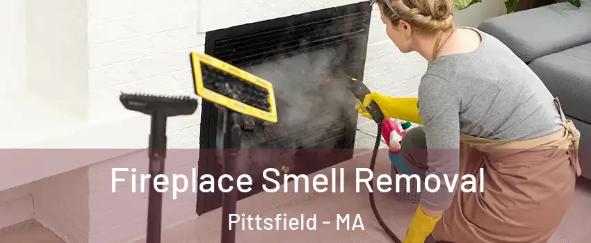  Fireplace Smell Removal Pittsfield - MA