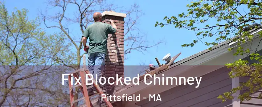  Fix Blocked Chimney Pittsfield - MA