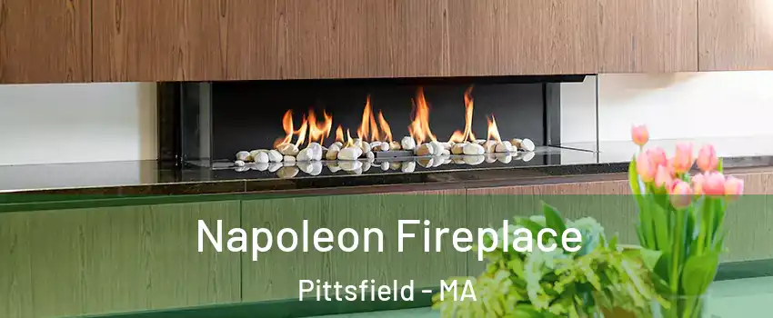  Napoleon Fireplace Pittsfield - MA