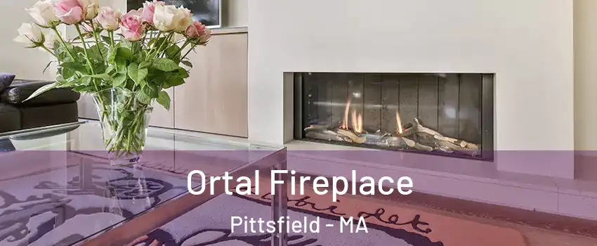  Ortal Fireplace Pittsfield - MA